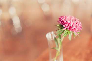 Similar image 5484432