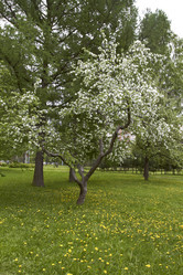 Similar image 5484663