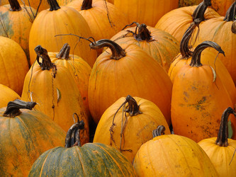 Similar image 5484945