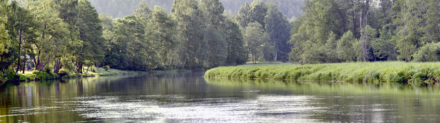 Similar image 5484962