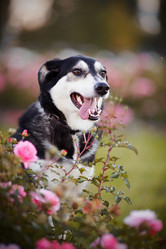 Similar image 5485013