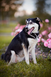 Similar image 5485014