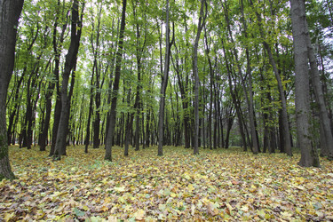 Similar image 5485019