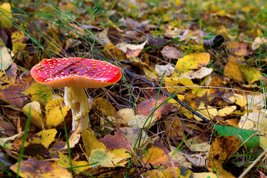 Similar image 5485105