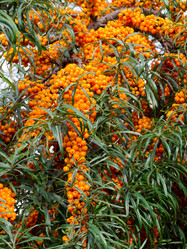 Similar image 5485107