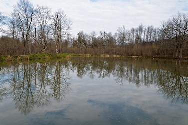 Similar image 5485139