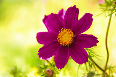 Similar image 5485152