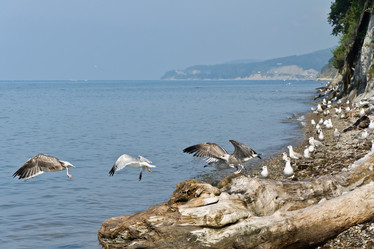 Similar image 5485157