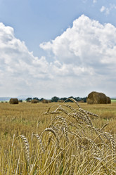 Similar image 5485160