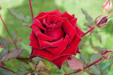 Similar image 5485209