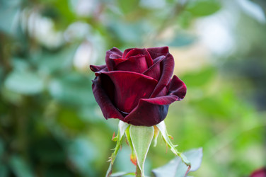 Similar image 5485214