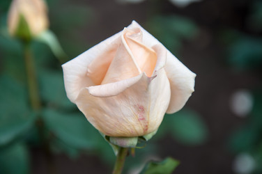 Similar image 5485215