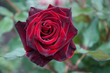 Similar image 5485217