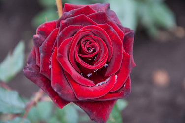 Similar image 5485218