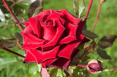 Similar image 5485219