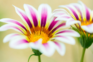 Similar image 5485270