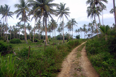 Similar image 5485303