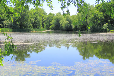 Similar image 5485337