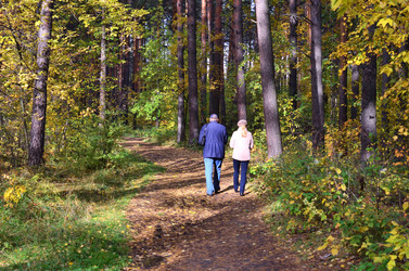 Similar image 5485383