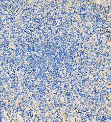 Similar image 5485513