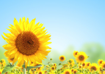 Similar image 5485542