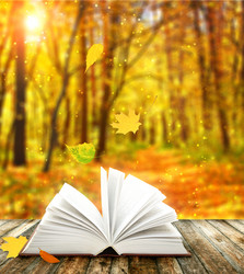 Similar image 5485557