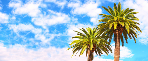 Similar image 5485563