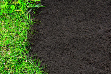 Similar image 5485564