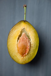 Similar image 5485632