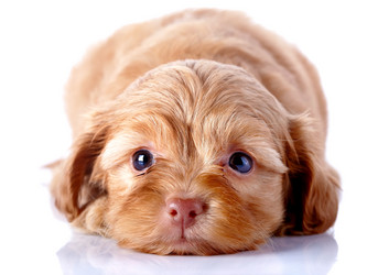 Similar image 5485645