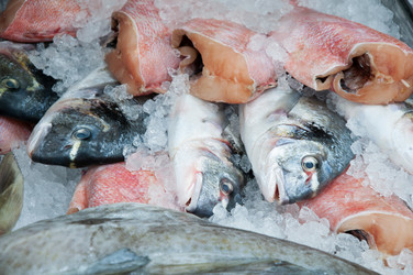 Similar image 5485661