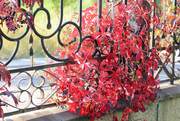 Similar image 5485760