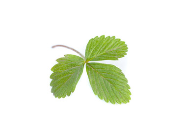 Similar image 5485798