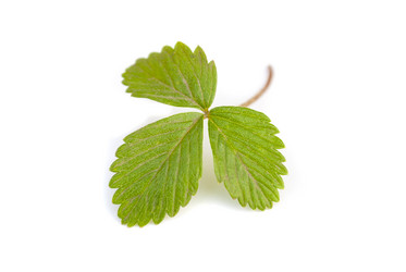 Similar image 5485799