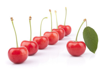 Similar image 5485814