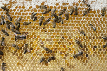 Similar image 5485819