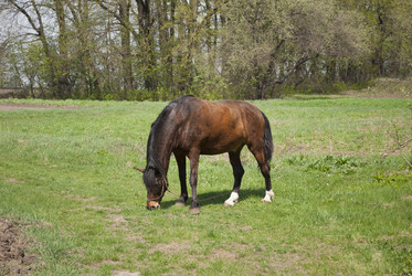 Similar image 5485824