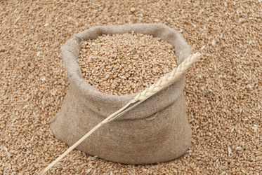 Similar image 5485826