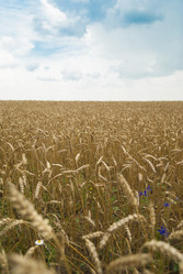 Similar image 5485828