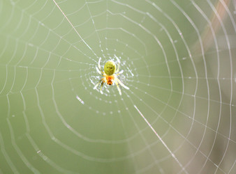 Similar image 5486021