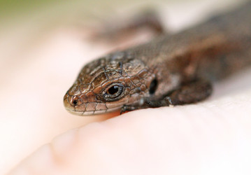 Similar image 5486023