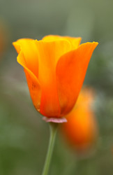 Similar image 5486039