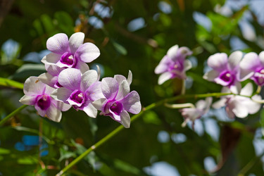 Similar image 5486057