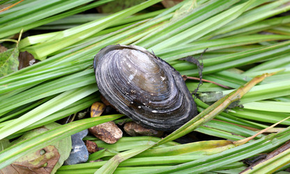 Similar image 5486065