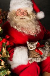 Similar image 5486191