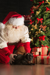 Similar image 5486220