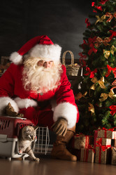 Similar image 5486227