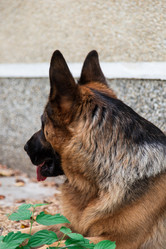 Similar image 5486284