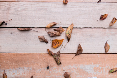 Similar image 5486286