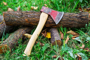 Similar image 5486289